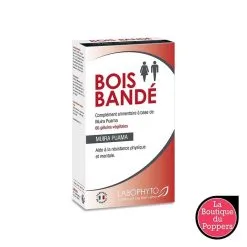 LBP - LRP Associes Bois Bandé 60 Gélules