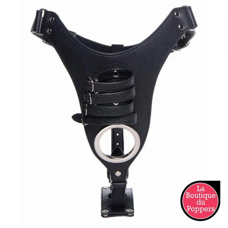 LBP - LRP Associes Ceinture De Chasteté Avec Plug Strict Male 8.5 X 3.3cm 5 LBP - LRP Associes Ceinture De Chasteté Avec Plug Strict Male 8.5 X 3.3cm – Image 3