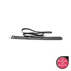 LBP - LRP Associes Collier Laisse Premium -Poppers Soldes 2023 collier laisse premium 1
