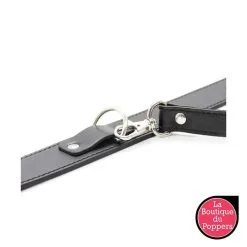 LBP - LRP Associes Collier Laisse Premium -Poppers Soldes 2023 collier laisse premium 2