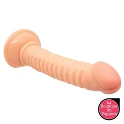 LBP - LRP Associes Gode Nervy 17 X 3.2cm -Poppers Soldes 2023 gode nervy 17 x 32cm 2