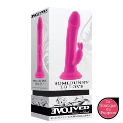 LBP - LRP Associes Gode Vibrant Avec Rabbit Somebunny To Love 13 X 3.7cm -Poppers Soldes 2023 gode vibrant avec rabbit somebunny to love 13 x 37cm 1