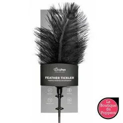 LBP - LRP Associes Plumeau à Caresses -Poppers Soldes 2023 plumeau a caresses 1