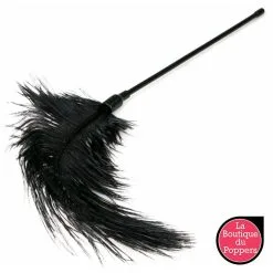 LBP - LRP Associes Plumeau à Caresses -Poppers Soldes 2023 plumeau a caresses 2